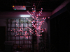 LED 梅花樹 / 櫻花樹