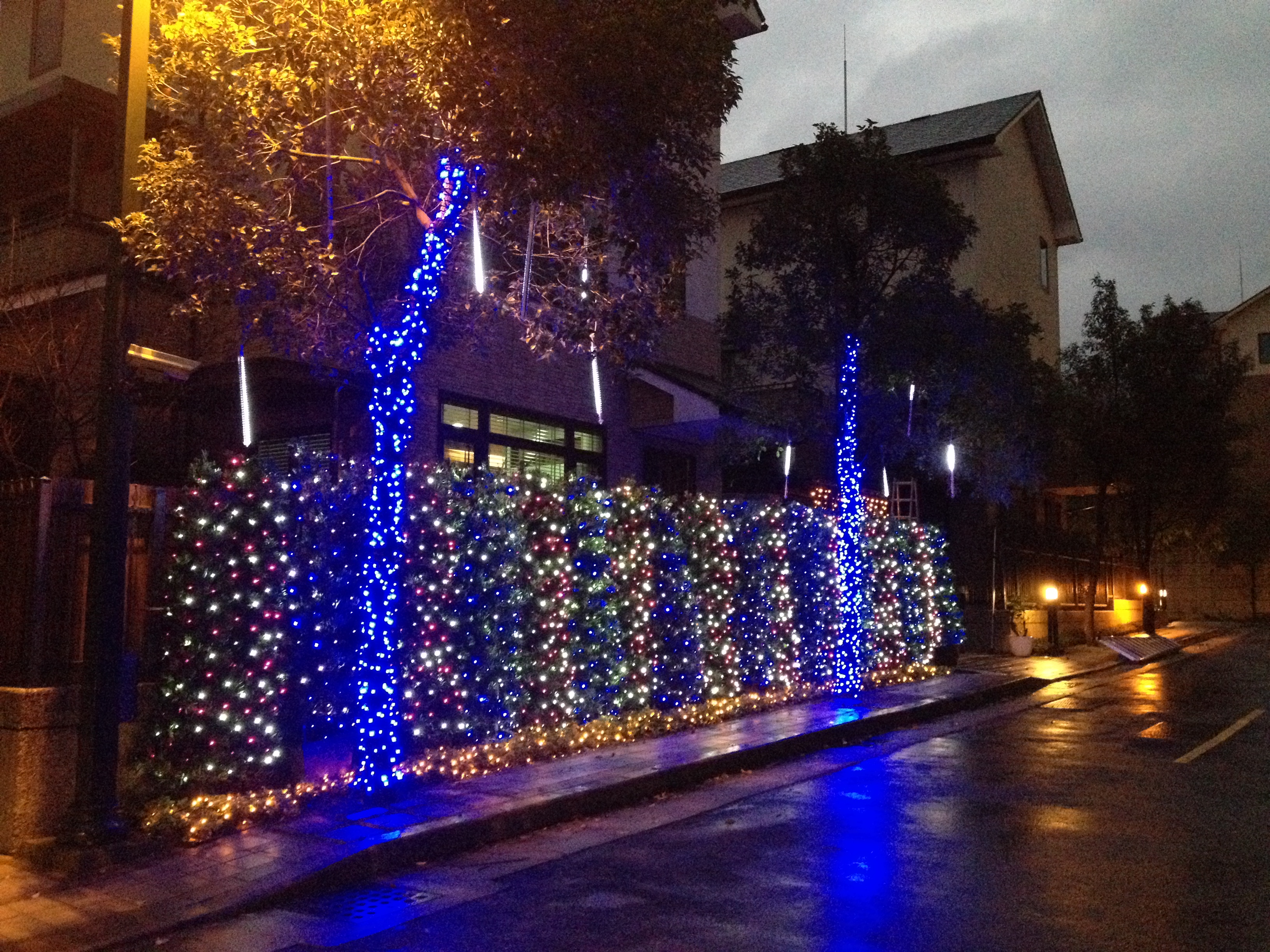 LED 彩光網燈