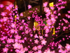 LED 梅花樹 / 櫻花樹