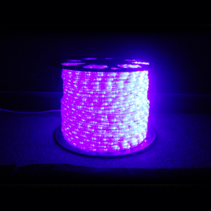 LED 紫光水管燈