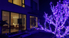 LED 紫光串燈