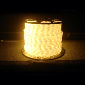  LED 暖白光水管燈